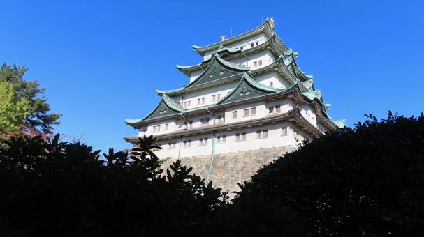 名古屋城　天守　大天守 名古屋城,尾張徳川家,御三家の写真素材