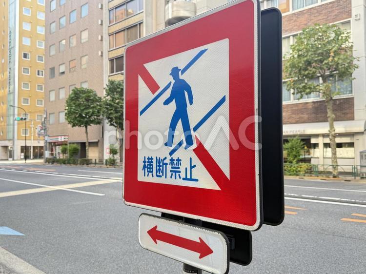 横断禁止の道路標識 道路,道,横断禁止の写真素材