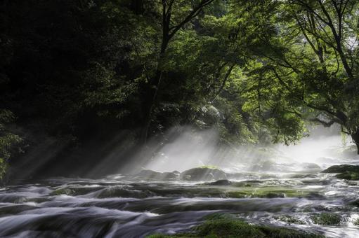熊本-【菊池渓谷の光芒】 熊本-【菊池渓谷の光芒】 熊本,菊池渓谷,川の写真素材