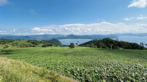 屈斜路湖 屈斜路湖 藻琴山,展望駐車公園,屈斜路湖の写真素材