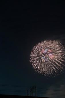 夜空に咲く大輪の花火 花火,打ち上げ花火,夜空の写真素材