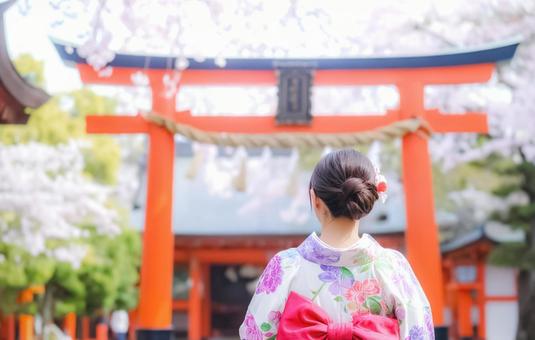 春の神社を訪れる着物姿の女性 春の神社を訪れる着物姿の女性の写真