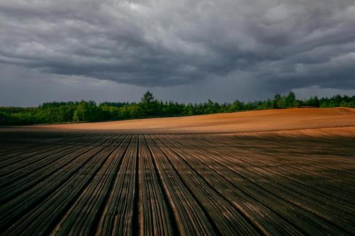 畑の上に広がる雨雲 畑の上に広がる雨雲 雲,雨,ストームの写真素材