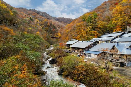 蔵王の紅葉(42)の写真