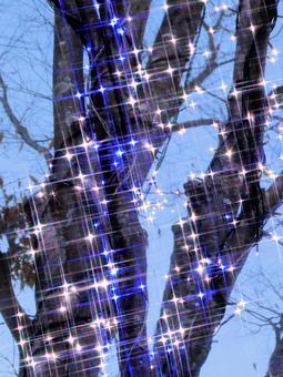 クリスマスイルミネーション イルミネーション,クリスマス,夜景の写真素材