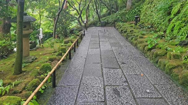 坂東33観音 04番 長谷寺 雨天の参道 坂東33観音 04番 長谷寺 雨天の参道の写真