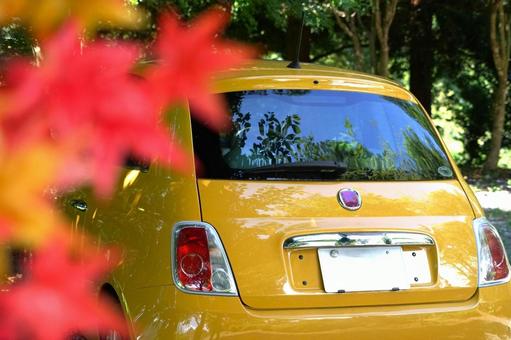 紅葉&イタ車(寄り) 紅葉&イタ車(寄り) 紅葉,車,イタリア車の写真素材