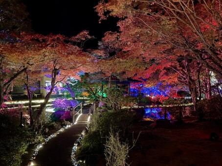 越前陶芸村　陶あかり　福井県陶芸館 福井,越前市,伝統工芸の写真素材