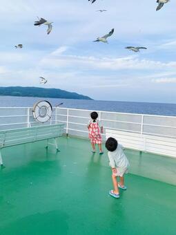 デッキからカモメを眺める子どもたち 船,フェリー,海の写真素材
