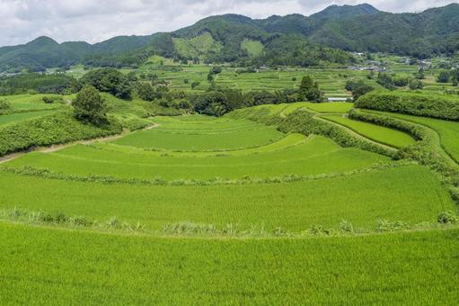 尾戸の口棚田 高千穂町 尾戸の口棚田 高千穂町 尾戸の口棚田,高千穂町,棚田の写真素材