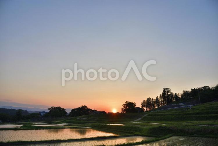 棚田の夕景 棚田,寺坂,寺坂棚田の写真素材
