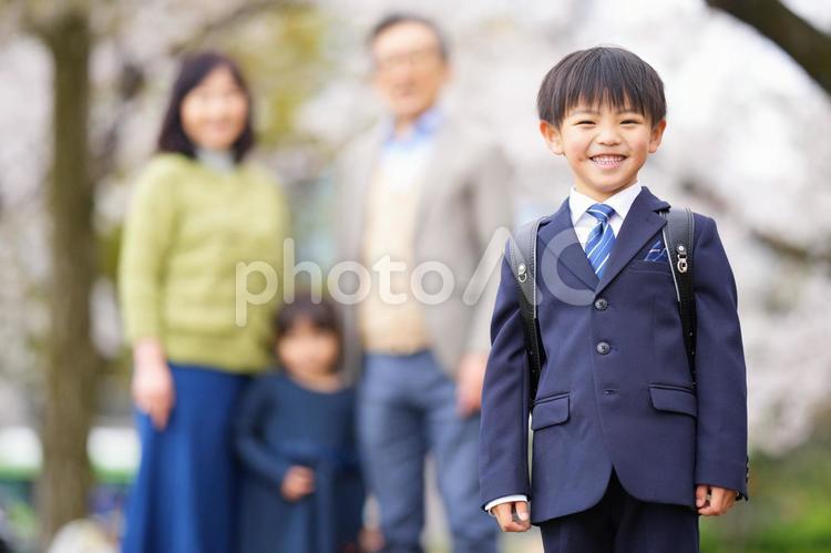 桜の前にいるスーツにランドセルの男の子と後ろに立つ家族 男の子,女の子,兄妹の写真素材