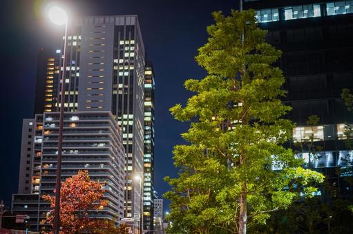 新宿の夜と街灯 新宿の夜と街灯 夜景,街灯,高層ビルの写真素材