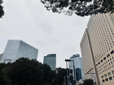 都会のビル群 都会のビル群 ビル,ビル群,都会の写真素材