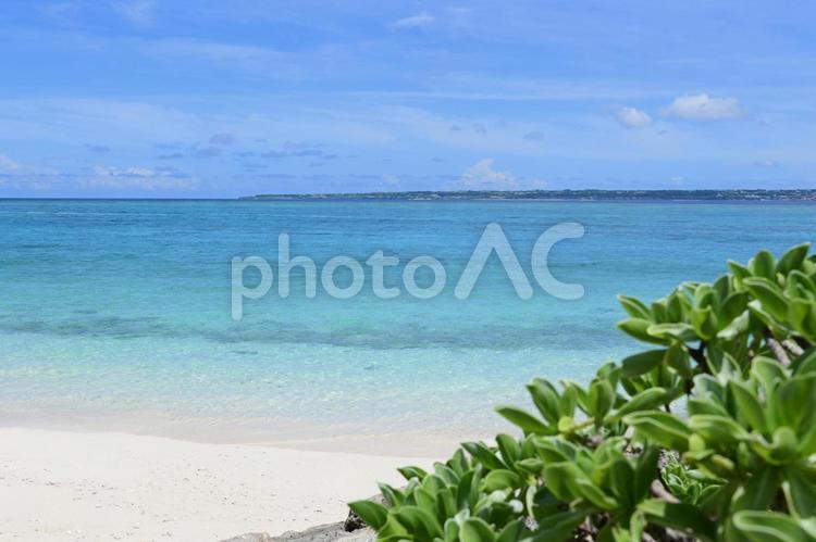綺麗な海の風景 海,自然,沖縄の写真素材