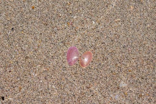 Photo, sakuragishin, beach, coastal, 