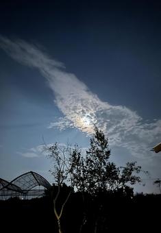 夏の月夜と輝く雲 自然,夜景,景色の写真素材