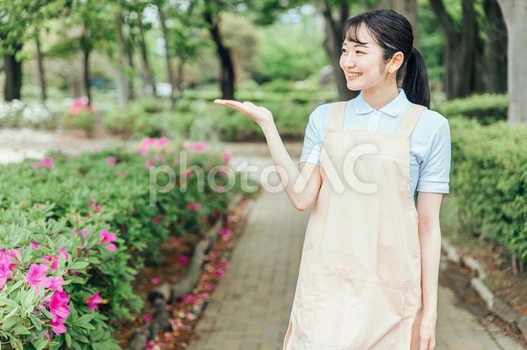 医療・介護・福祉系の女性スタッフ 介護士,ホームヘルパー,看護師の写真素材