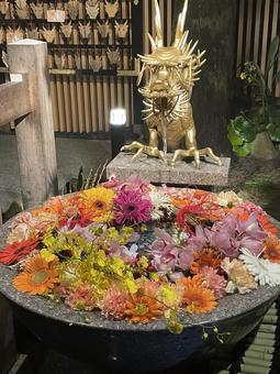 竜の御手水 竜の御手水の写真
