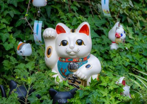 招き猫 招き猫 招き猫,縁結び,幸運の写真素材