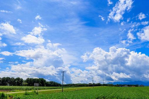 青空と雲 青空と雲 青空,雲,白い雲の写真素材