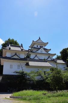 7月下旬の大垣城の天守 7月下旬の大垣城の天守 大垣城,天守,城の写真素材