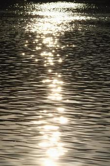 きらめく水面 きらめく水面の写真