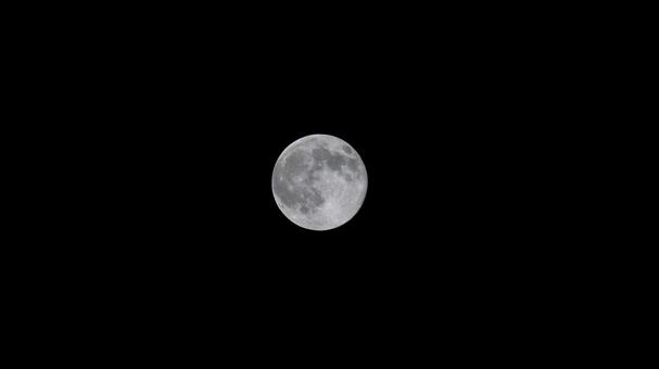 夜空に浮かぶ満月 夜空に浮かぶ満月 満月,月,夜の写真素材
