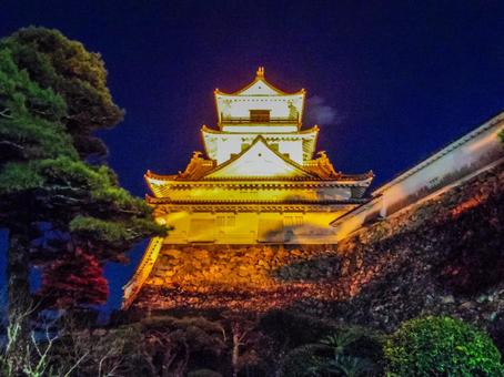 【高知県】高知市・高知城 高知城,高知公園,夜の写真素材