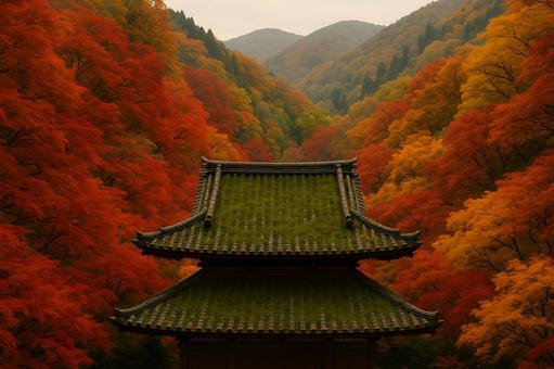 寺と紅葉の奥の写真