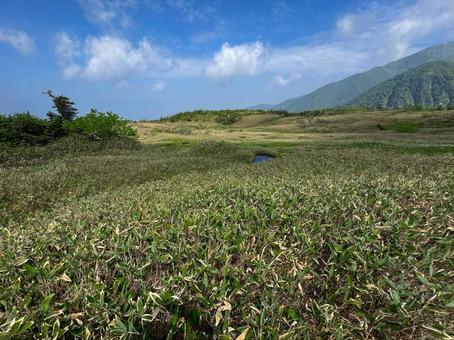 弥陀ヶ原 弥陀ヶ原の写真