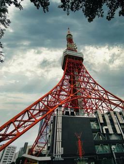 東京タワー 東京タワー 東京タワー,塔,電波塔の写真素材