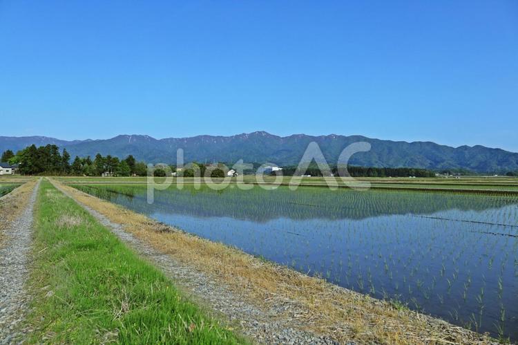 水田に写る山並みと農道 田園風景,田植え,稲作の写真素材