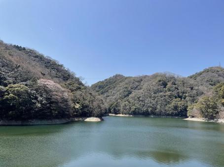静謐の湖畔 自然,湖,湖畔の写真素材