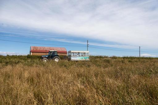 草原を走るトラクターバスと貨車 草原を走るトラクターバスと貨車 野付半島,砂嘴,トドワラの写真素材