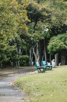 公園とベンチ 公園とベンチ 公園,ベンチ,椅子の写真素材
