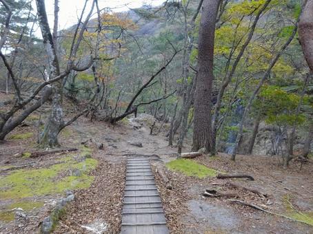 龍王峡(虹見橋~むささび橋間の風景) 龍王峡(虹見橋~むささび橋間の風景)の写真