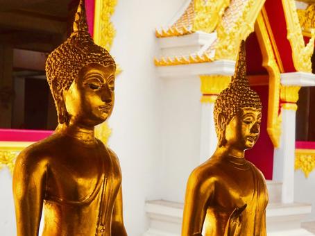 美しいタイの仏像とお堂 仏像,黄金の,仏塔の写真素材