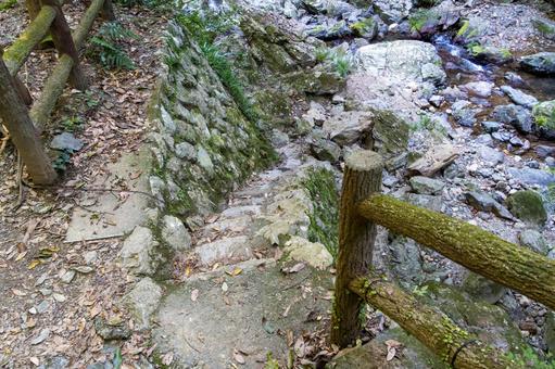 静岡県浜松市 秋の仙厳の滝 渓谷 静岡県浜松市 秋の仙厳の滝 渓谷 日本,静岡県,浜松市の写真素材