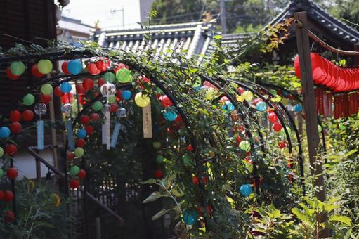 おふさ観音風鈴まつり おふさ観音風鈴まつり 自然道,幻想的,美しいの写真素材