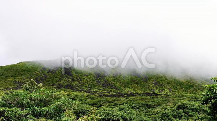 伊豆大島火口一周遊歩道の風景 火口一周,火口,道の写真素材