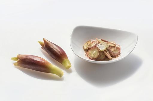 ミョウガ(薬味) ミョウガ(薬味) ミョウガ,芽,薬味の写真素材