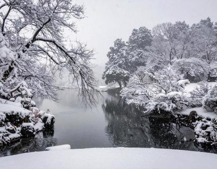 雪降る日本の雪景色 雪降る日本の雪景色の写真