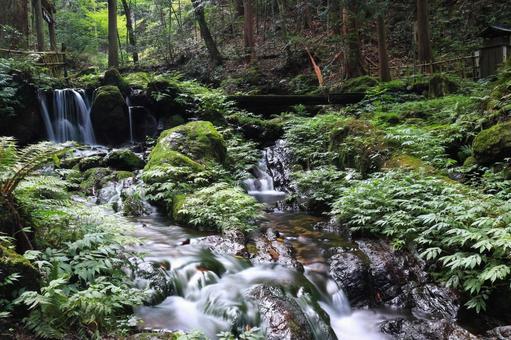 瓜割の滝 瓜割の滝の写真