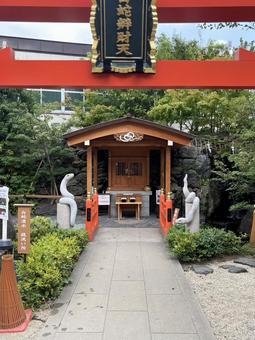 蛇窪神社にある白蛇辨財天社 蛇窪神社にある白蛇辨財天社 蛇窪神社,白蛇辨財天社,白蛇の写真素材