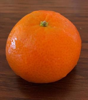 R7.08.18　手で皮が剥けるオレンジの写真