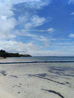 海 自然,海,青空の写真素材