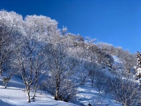 樹氷に覆われた木々が輝く冬の絶景 樹氷,冬,雪の写真素材