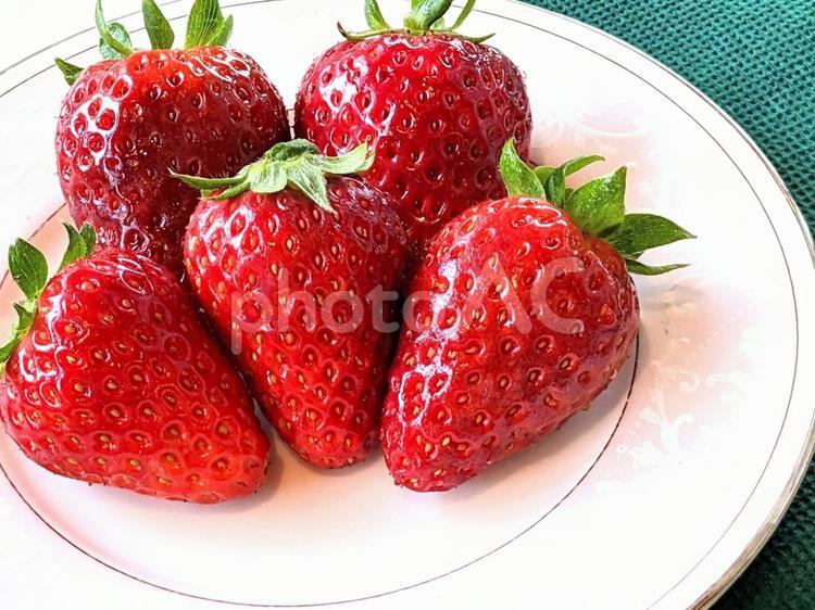 いちご(古都華) いちご,果物,ストロベリーの写真素材