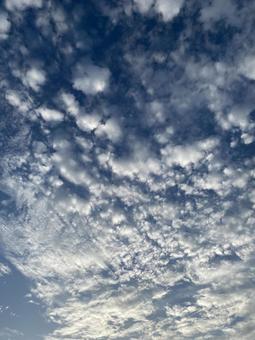 夕暮れ間近の秋の雲 夕暮れ間近の秋の雲の写真